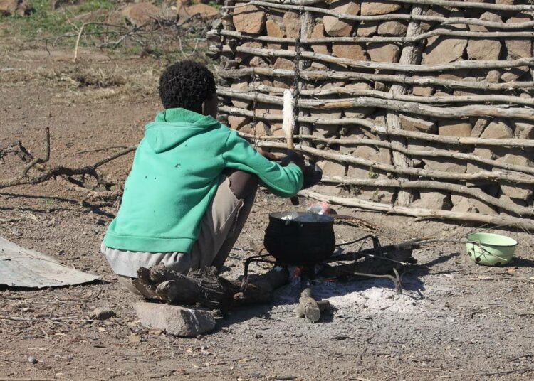Nuori poika laittaa ruokaa kotonaan Eswatinin Mbabanen Masunduzassa. Afrikkalaiset viljelijät usein kasvattavat sellaista, mitä eivät syö, mutta syövät sellaista, mitä eivät kasvata. Eswatiniin täytyy tuoda asukkaiden perusruokaa maissia, sillä sitä ei viljellä riittävästi. Maissin sijasta viljellään sokeriruokoa vientiin.