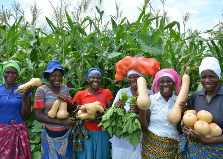 Koronapandemia on saanut Saharan eteläpuoleisessa Afrikassa yhä useammat turvautumaan maatalouteen, kun muut tulonlähteet ehtyvät. Erityisesti naisten lisääntyneen panoksen odotetaan kasvattavan maataloussektorin tuottavuutta.
