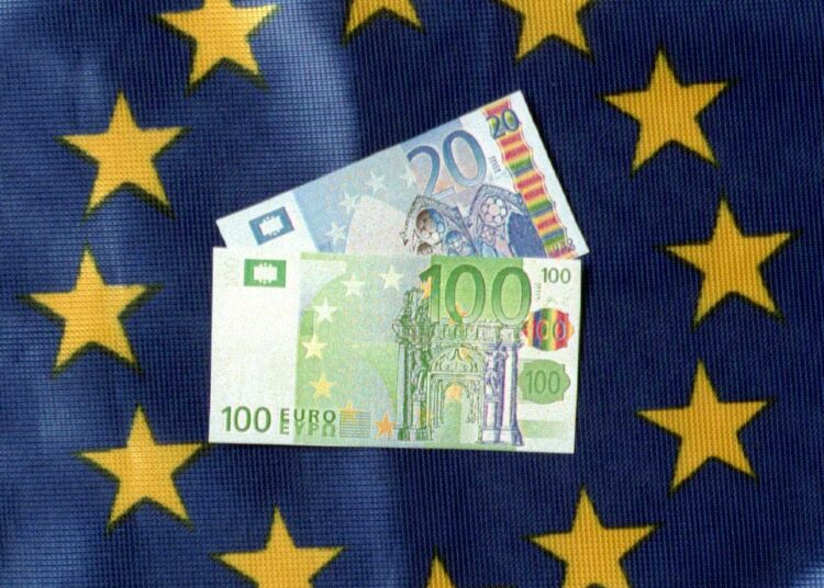 Euro -kirja selvittää, miten yhteinen eurovaluutta, uusliberalistinen talouskäsitys ja usko vapaiden markkinoiden toimivuuteen ovat haitanneet ja eriarvoistaneet euromaita.
