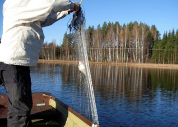 Liikuntaseteli myös kalastusharrastajien hyödyksi, vaativat kansanedustajat.