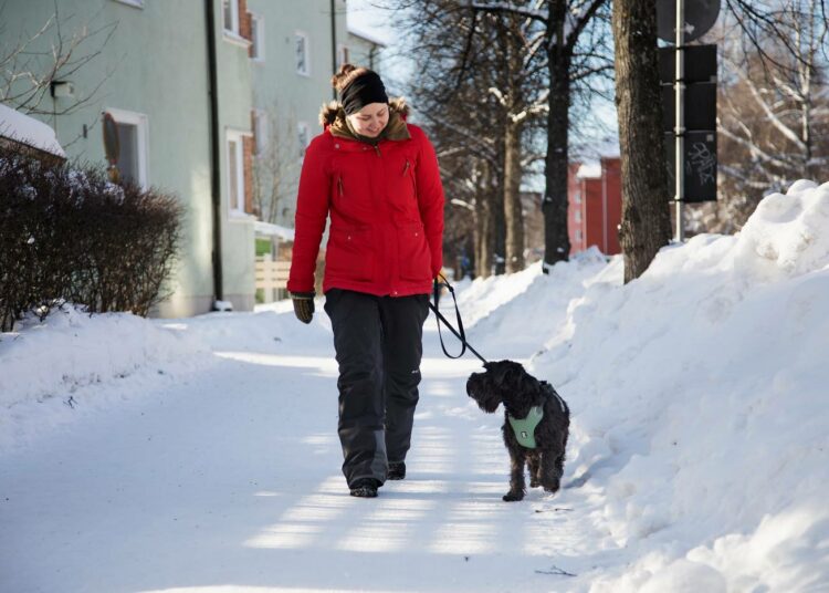 – Minulla on hyvä ajankäyttö. Olen tosi ylpeä siitä. Aikataulutan elämäni, sanoo Minkkinen.