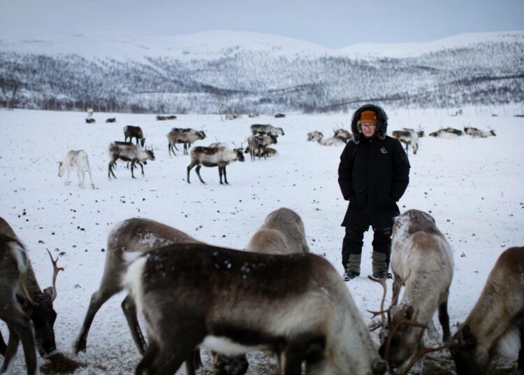 Tunturiluonnon suojelu on monimutkainen kokonaisuus, sanoo Nils-Matti Vasara.