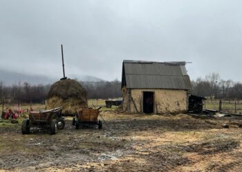 Ukrainan romanit elävät monin paikoin köyhyydessä, ja sota on vain pahentanut heidän olosuhteitaan. Kuvassa talo Taka-Karpaateilla sijaitsevassa romanikylä Pasikassa.