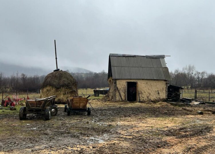 Ukrainan romanit elävät monin paikoin köyhyydessä, ja sota on vain pahentanut heidän olosuhteitaan. Kuvassa talo Taka-Karpaateilla sijaitsevassa romanikylä Pasikassa.