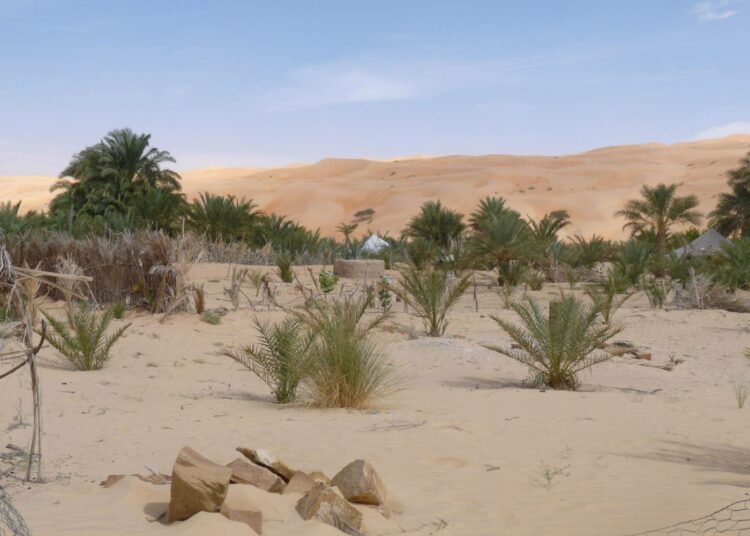 Keidas Lagueilassa Mauritaniassa parempina aikoina, jolloin kuivuus ei ollut yhtä paha kuin nyt.
