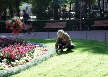 Helsingissä kaupungin katujen ja puistojen siistimiseen palkataan ensi kesänä 325 kesätyöntekijää.