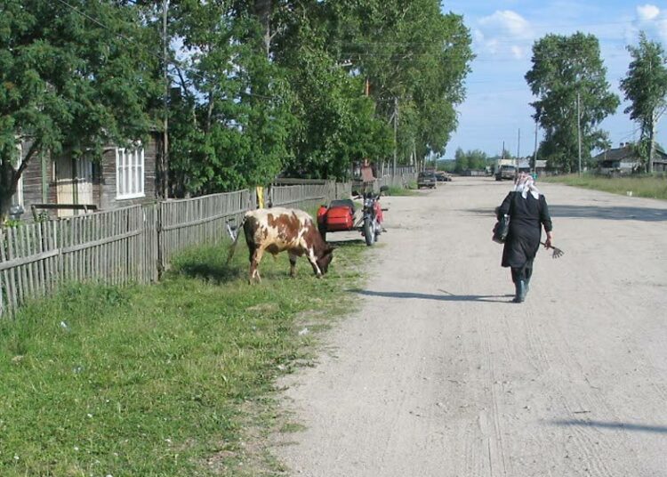 Vain harva olisi Neuvostoliiton hajoamisen jälkeen palannut Karjalaan, vaikka se olisi ollut mahdollistakin.