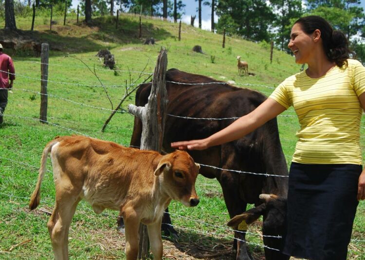 Nicaragualainen Josefina Rodríguez on saanut pienen maatilansa menestymään.