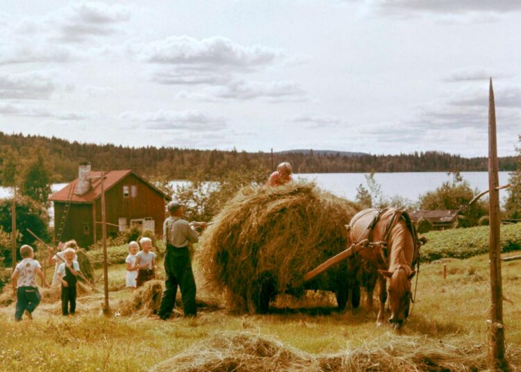 Keskustalainen ihanneyhteiskunta vuosimallia 1966.