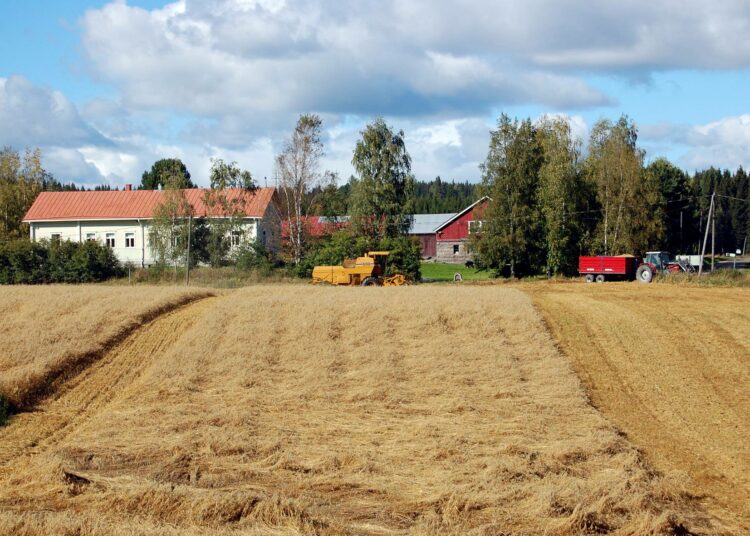 Maatalous on paljolti riippuvainen kausityövoimasta.