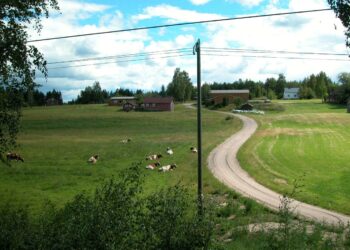 Suomenniemellä oli vuodenvaihteessa 804 asukasta.