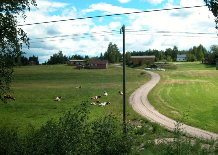 Suomenniemellä oli vuodenvaihteessa 804 asukasta.