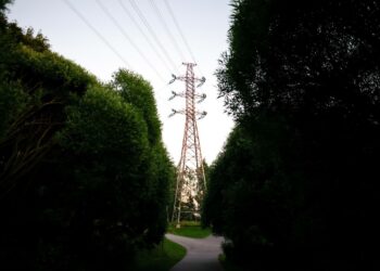 Maailman tänä vuonna tuottamat uusiutuvat luonnonvarat on kulutettu 22. elokuuta loppuun.
