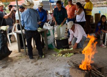 Guatemalalainen Rosa Dávila (kesk.) kuorii maissintähkää valmistaakseen ruokaa mielenosoittajille, jotka vartioivat tiesulkua Casillasin kunnassa lähellä San Rafael Las Floresin hopeakaivosta.