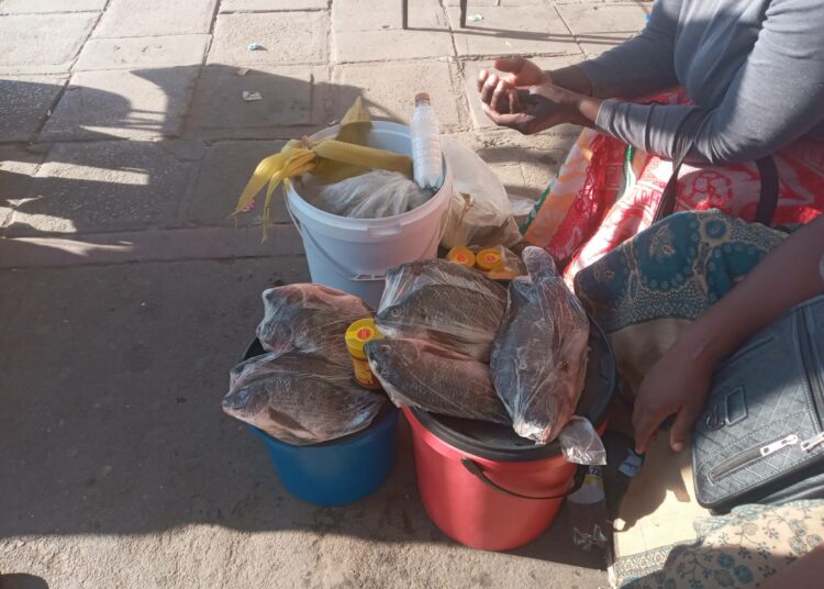 Ylikalastus ja sähkökatkot haittaavat kalakauppaa Bulawayon kaduilla.