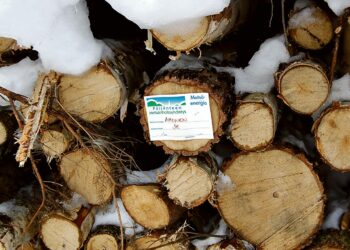 Selluteollisuuden alasajo on heikentänyt Suomen asemaa bioenergiatuotannossa.