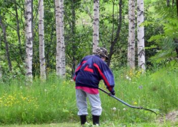 Tässä tehdään työtä, mutta ei palkkatyötä.