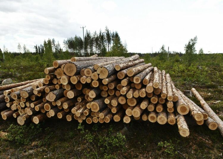 Suomalaiset saivat Euroopan parlamentissa läpi muutoksen metsien hiilinielujen laskentatapaan.