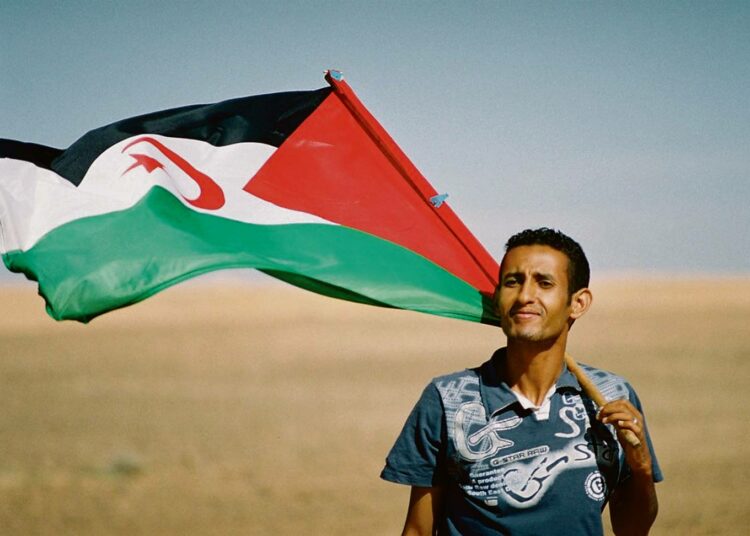 Sahrawimies olallaan Saharan demokraattisen arabitasavallan lippu.
