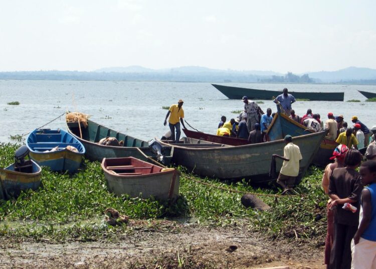 Kalastusveneitä Victoriajärven rannalla Ugandassa.