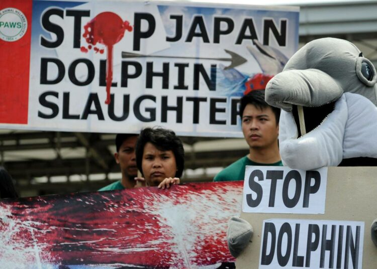 Eläinsuojelujärjestöt kamppanjoivat muun muassa Taijin delfiinijahdin lopettamisen puolesta.