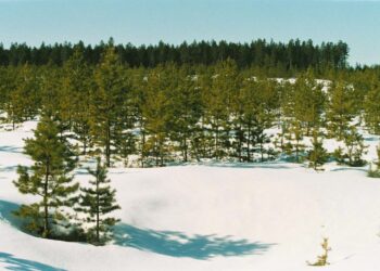 Suomella on tulevana EU:n puheenjohtajamaana näytön paikka toimia ilmaston puolesta maailmanlaajuisesti.