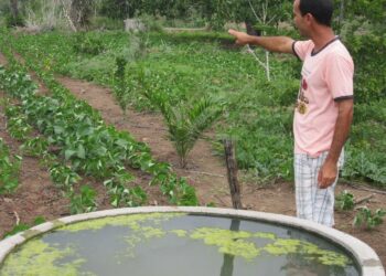Abel Manto on onnistunut kasvattamaan vihanneksia ja hedelmäpuita Bahian osavaltion puolikuivissa sisäosissa. Hänen puutarhansa kukoistaa sadevesisäiliöiden ansiosta. Koska lähistöllä ei ole jokia, maatila on täysin riippuvainen sadevedestä.