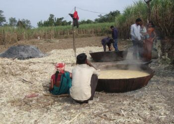 Sokeriruokokuutioiden valmistamista maatilalla Mandlassa. Intian pienviljelijät hyötyvät tukiohjelmasta, jonka puitteissa he voivat monipuolistaa tuotantoaan sekä saada tukea maataloustuottajien järjestöiltä.