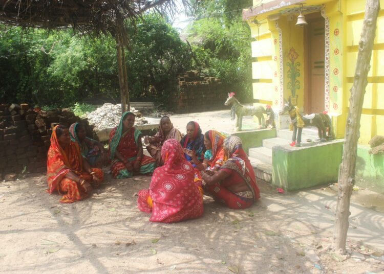 Joka aamu naisryhmä kokoontuu kylän temppeliin sopimaan, miten taimien vartioimisvuorot jaetaan.