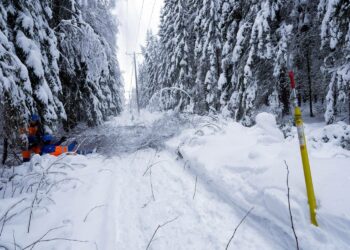 Puuliiton mukaan sähkölinjoille kaatuneet puut ovat metsäalan vaativimpia ja vaarallisimpia töitä riippumatta siitä ovatko ne lumikuormien tai myrskyjen aiheuttamia.
