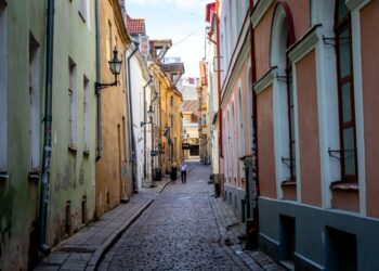 Episodiromaani ammentaa kirjailijan kokemuksista toimittajana 1970-luvun Tallinnassa.