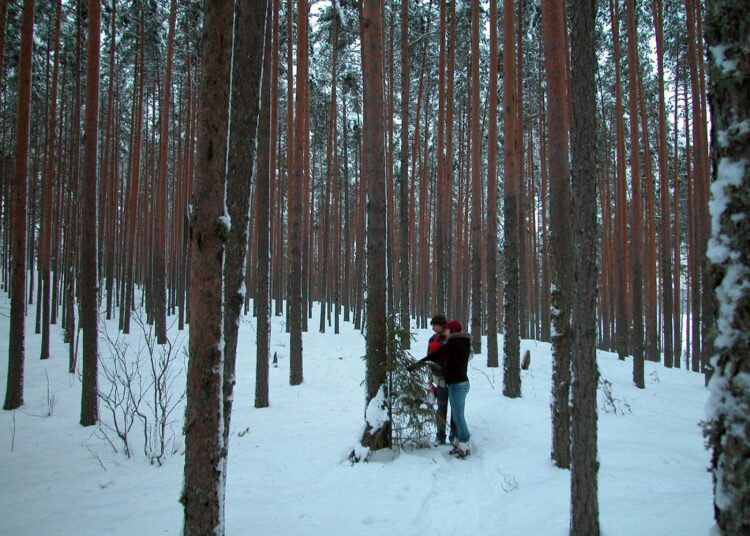 Nykyisin Joutsan kunnassa sijaitseva Leivonmäen kansallispuisto kiinnostaa luonnonystäviä kaikkina vuodenaikoina.