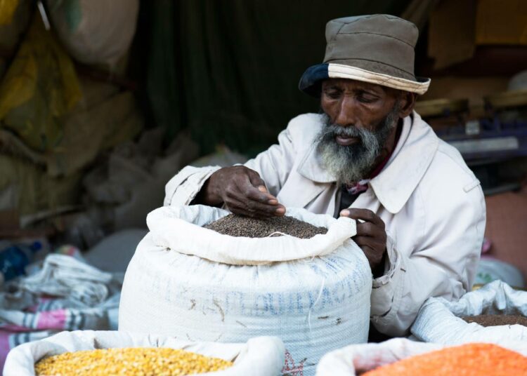 Teff saattaa olla pian liian kallista ruokaa köyhimmille etiopialaisille.