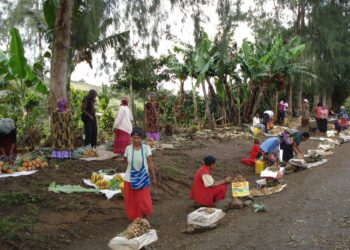 Syrjäisessä Helan provinssissa Papua-Uuden-Guinean mantereella naiset joutuvat matkustamaan pitkiä matkoja päästäkseen mammografioita tekevään sairaalaan.
