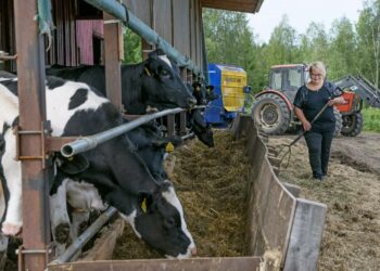 Vasemmistoliiton varapuheenjohtaja ja kansanedustaja Aino-Kaisa Pekonen on huolissaan suomalaisten maataloustuottajien asemasta.