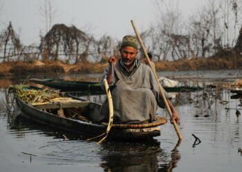 Wularjärvellä Intian Kašmirissa työskentelevä kalastaja Fayaz Ahmad Khanday valittaa, että kalakannat ovat kutistuneet järven saastumisen ja rehevöitymisen seurauksena.