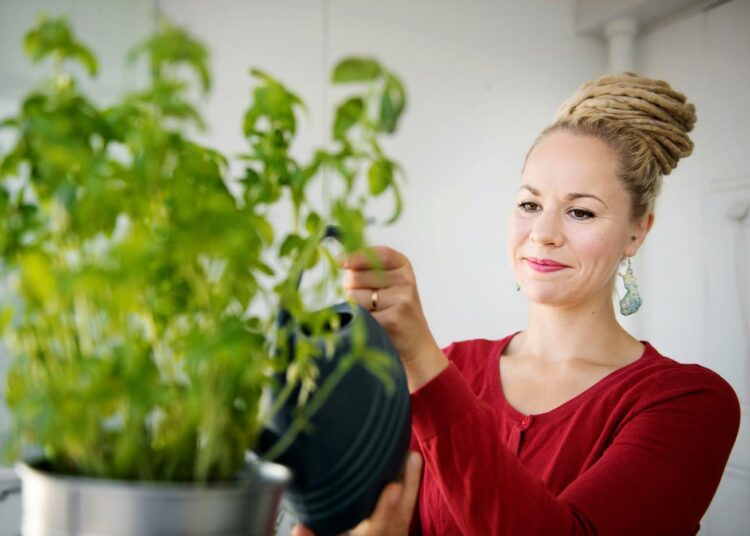 Hanna Sarkkinen hakee jatkokautta eduskuntaan.