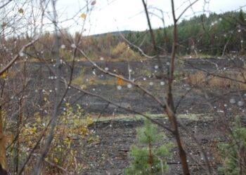 Suot ja turvetuotanto herättävät kiivaimmat tunteet Keski-Suomen vaihekaavan kansalaiskäsittelyssä.