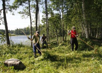 Haravan varressa ovat Tiina Ylönen (vas.), Sari Ylönen ja Hilkka Aro.