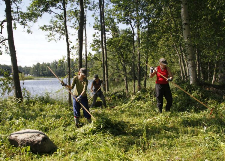 Haravan varressa ovat Tiina Ylönen (vas.), Sari Ylönen ja Hilkka Aro.