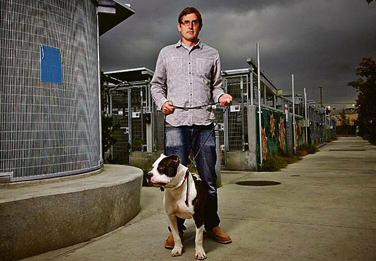 Los Angelesissa koirat opetetaan käyttäytymään aggressiivisesti. Kun omista-jat eivät pärjääkään koiriensa kanssa, ne hylätään. Kuvassa Louis Theroux.