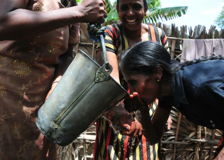 Sri Lankan pohjoisosissa kärsitään yhä sisällissodan seurauksista. Leskinaiset kamppailevat pystyäkseen elättämään perheensä.