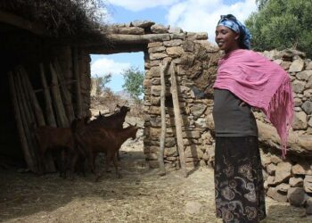 Lain mukaan etiopialaiselle naiselle kuuluu osuus perheen yhteisestä omaisuudesta sekä mahdollisuus mennä töihin kodin ulkopuolelle pyytämättä aviomieheltään lupaa siihen.