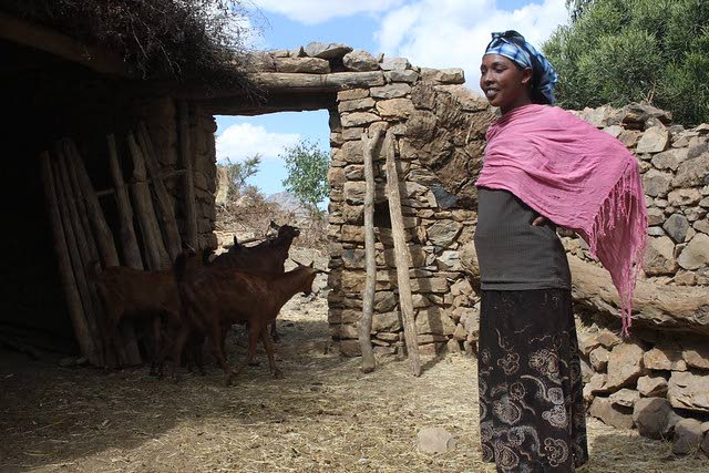 Lain mukaan etiopialaiselle naiselle kuuluu osuus perheen yhteisestä omaisuudesta sekä mahdollisuus mennä töihin kodin ulkopuolelle pyytämättä aviomieheltään lupaa siihen.