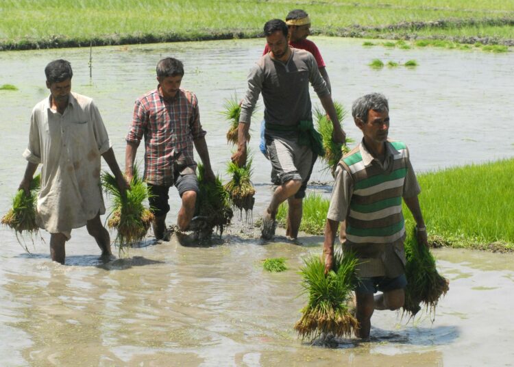 Intian Jammun ja Kashmirin osavaltion maanviljelijät elävät ennakoimattomaksi muuttuneen ilmaston armoilla.