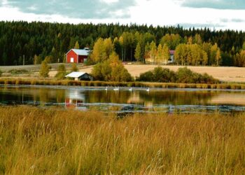 Kirjoittajan mukaan maaseutuasumisen edistäminen on järkevää niin ekologisesti kuin aluepoliittisestikin. Kuvassa jämsäläinen maaalaismaisema.