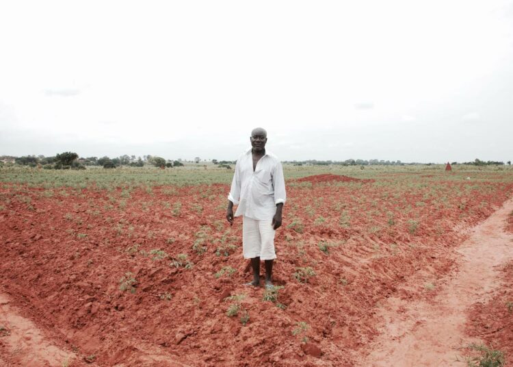 Ghanalainen tomaatinviljelijä Adolf Ozor joutuu kilpailemaan maahan tulvivien tuontitomaattien kanssa.