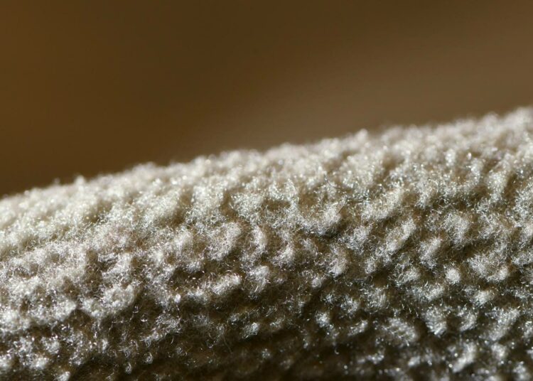 Polyesterikangas fleece on vuoden turhake.