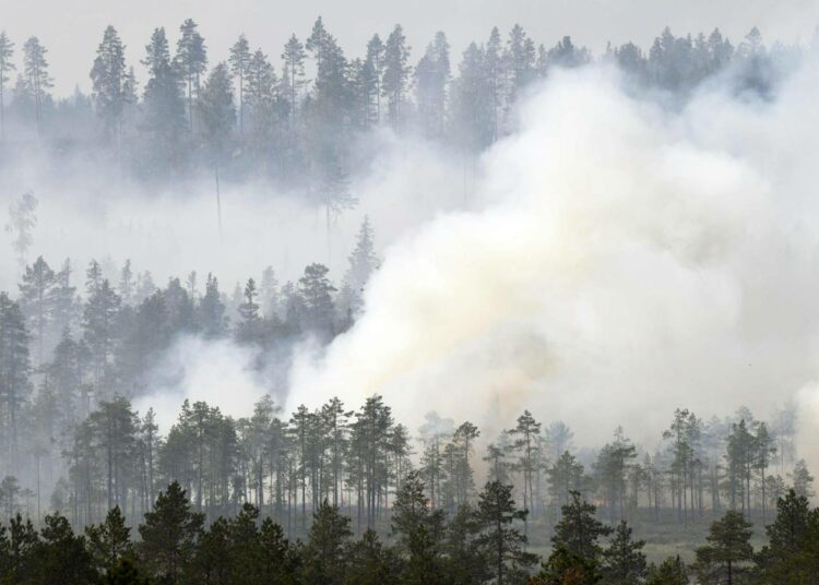 Metsä paloi heinäkuussa Ruotsissa lähellä Ljusdalia.