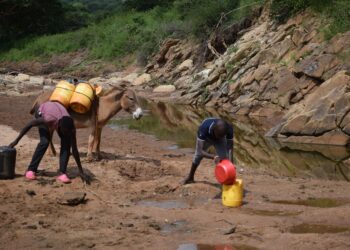 Fatoumata Binta (vas.) ja veljensä Iphrahima Tall keräävät vettä lähes kuivasta joenuomasta. Tänä kesänä heidänkin perheensä on kärsinyt vesipulasta.